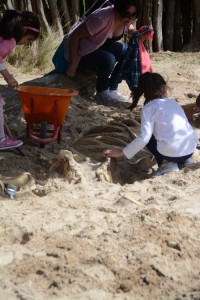 Kids uncovering a skeleton in the sand
